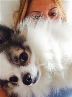 funny-tri-color-pomeranian